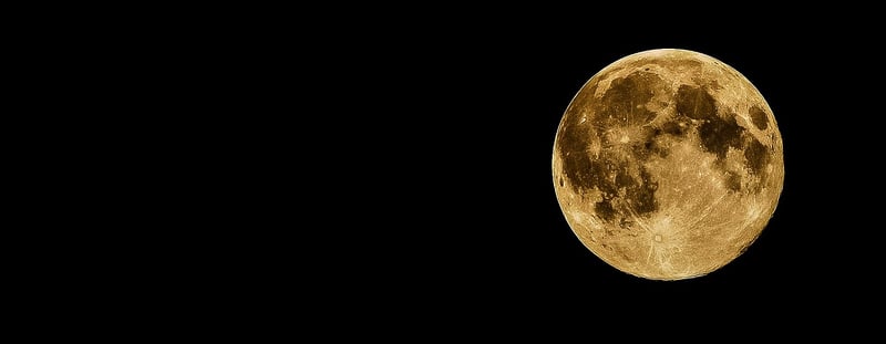 Moonlit Fantasy